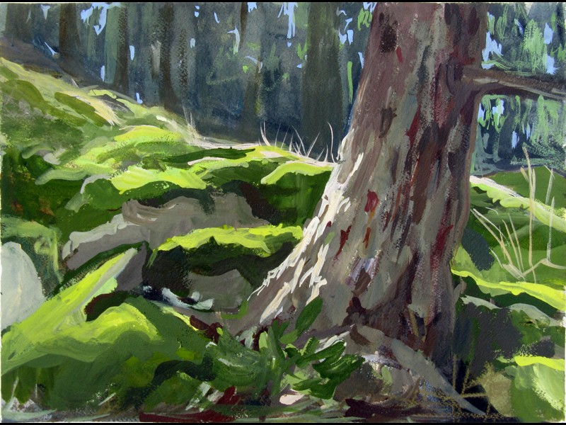Orcas Woods